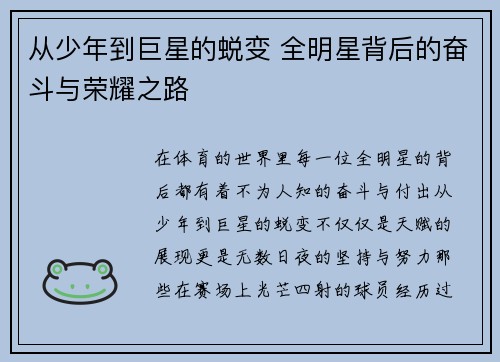 从少年到巨星的蜕变 全明星背后的奋斗与荣耀之路