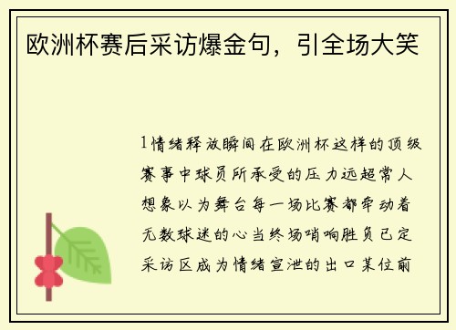 欧洲杯赛后采访爆金句，引全场大笑